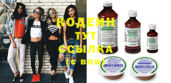хмурый Карпинск