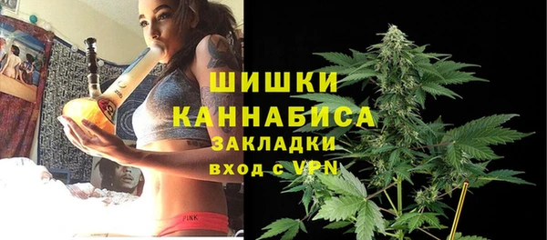 хмурый Карпинск