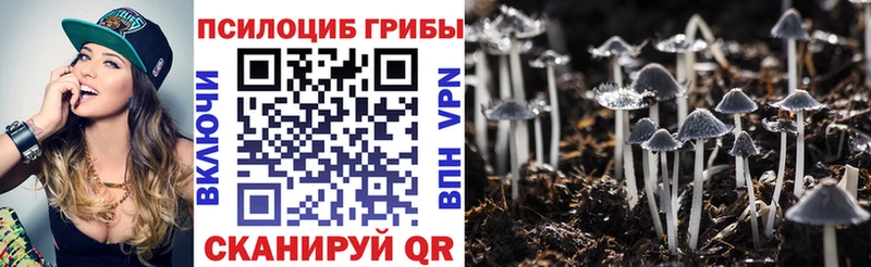 маркетплейс Telegram  купить   Нариманов  Галлюциногенные грибы Cubensis 